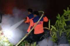 Polda Kaltara siap tindak tegas pelaku yang sengaja membakar hutan